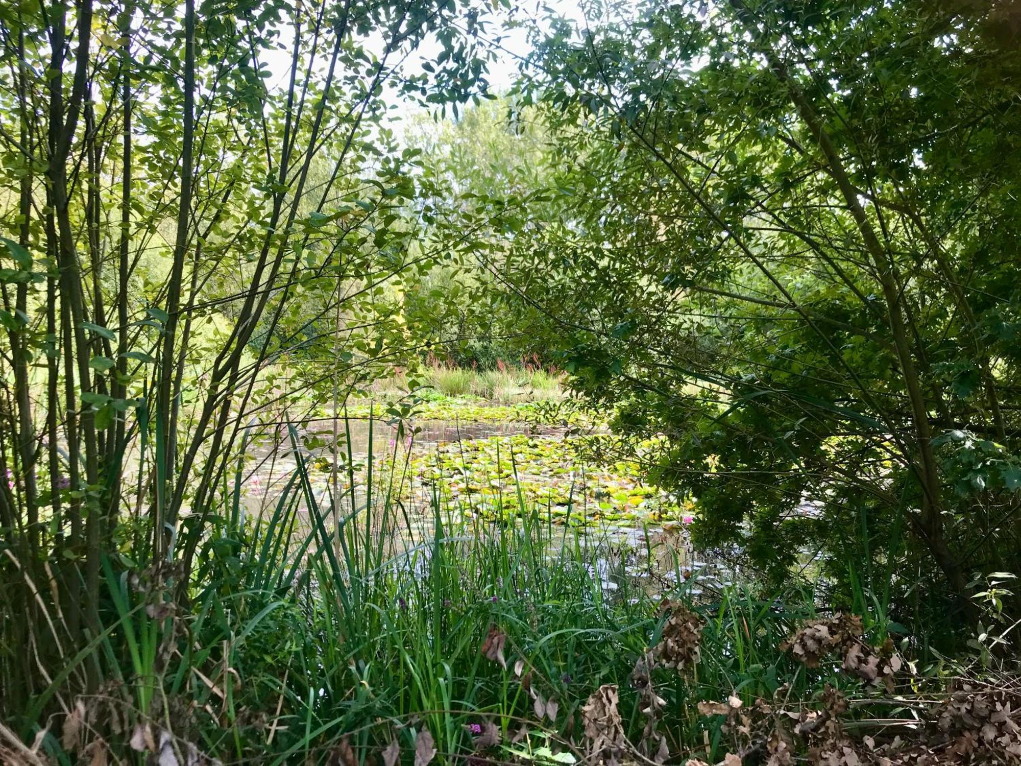 Eikenburg Frühstückspension Eindhoven